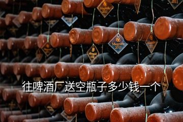 往啤酒厂送空瓶子多少钱一个