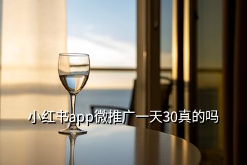 小红书app微推广一天30真的吗