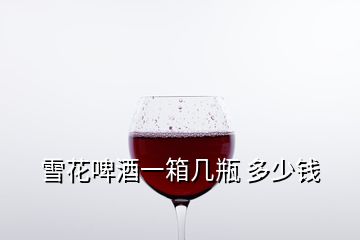 雪花啤酒一箱几瓶 多少钱