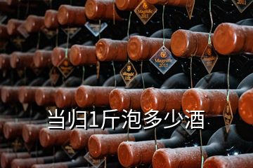 当归1斤泡多少酒