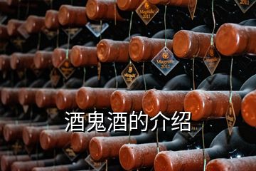 酒鬼酒的介绍