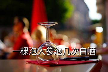 一棵泡人参泡几次白酒