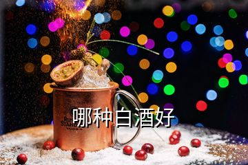 哪种白酒好