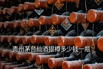 贵州茅台仙酒银樽多少钱一瓶