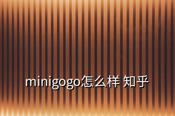 minigogo怎么样 知乎