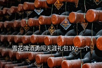 雪花啤酒勇闯天涯礼包1X6一个