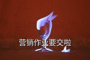 营销作业要交啦