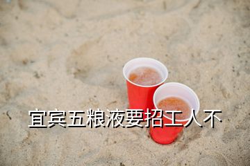 宜宾五粮液要招工人不