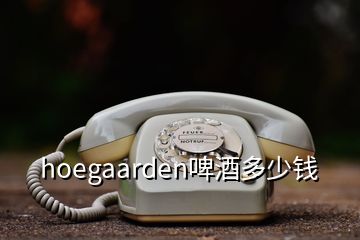 hoegaarden啤酒多少钱