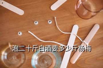 泡二十斤白酒要多少斤杨梅