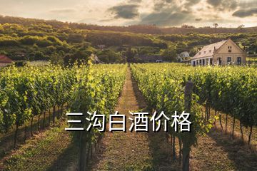 三沟白酒价格