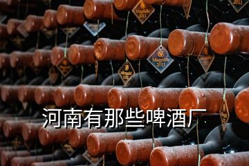 河南有那些啤酒厂