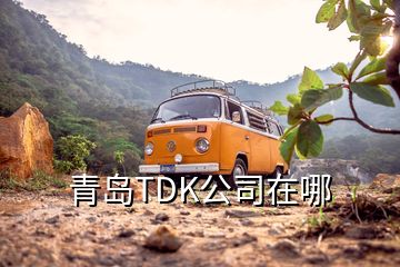 青岛TDK公司在哪