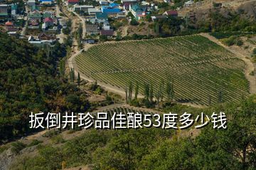 扳倒井珍品佳酿53度多少钱