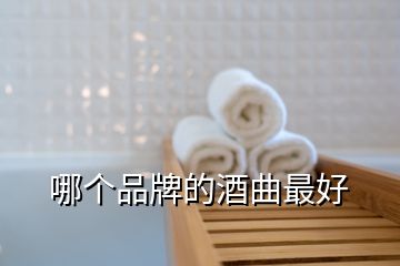 哪个品牌的酒曲最好