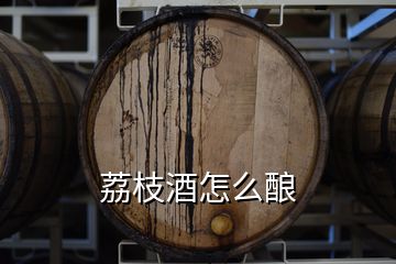 荔枝酒怎么酿