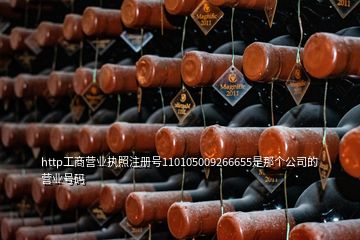 http工商营业执照注册号110105009266655是那个公司的营业号码