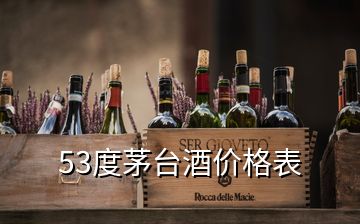 53度茅台酒价格表