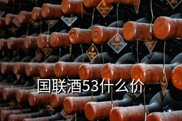 国联酒53什么价