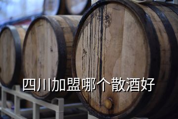 四川加盟哪个散酒好