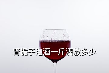 肾栀子泡酒一斤酒放多少