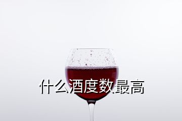 什么酒度数最高