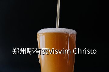 郑州哪有卖Visvim Christo