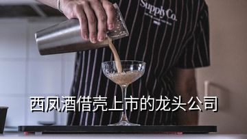 西凤酒借壳上市的龙头公司