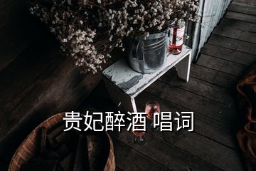 贵妃醉酒 唱词