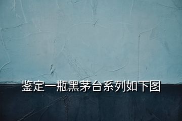 鉴定一瓶黑茅台系列如下图