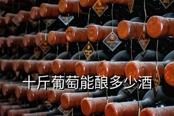 十斤葡萄能酿多少酒