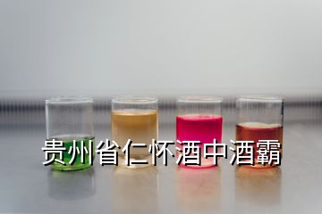 贵州省仁怀酒中酒霸