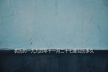 农历的一九九四年十一月二十七是公历多久