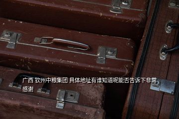 广西 钦州中粮集团 具体地址有谁知道呢能否告诉下非常感谢