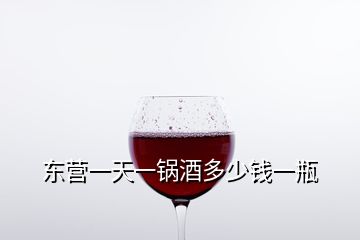 东营一天一锅酒多少钱一瓶