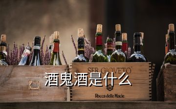 酒鬼酒是什么