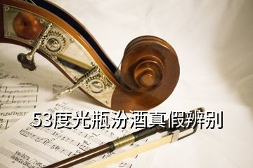 53度光瓶汾酒真假辨别