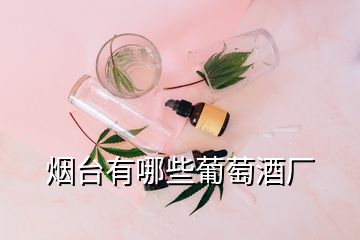 烟台有哪些葡萄酒厂