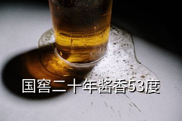 国窖二十年酱香53度