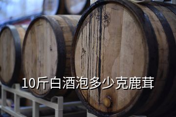 10斤白酒泡多少克鹿茸