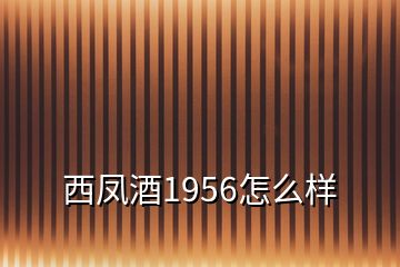 西凤酒1956怎么样