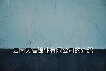 云南天高镍业有限公司的介绍