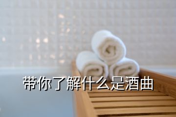 带你了解什么是酒曲