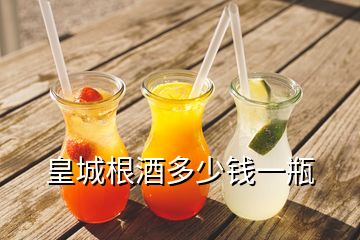 皇城根酒多少钱一瓶