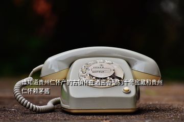 谁知道贵州仁怀产的古镇怀庄酒酱香型53十年窖藏和贵州仁怀赖茅酱