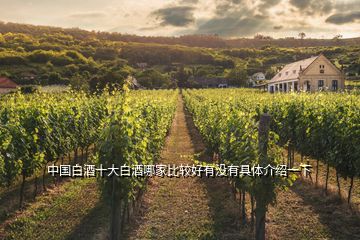 中国白酒十大白酒哪家比较好有没有具体介绍一下