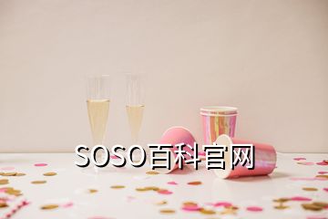 SOSO百科官网