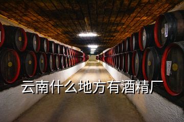 云南什么地方有酒精厂