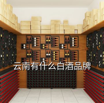 云南有什么白酒品牌