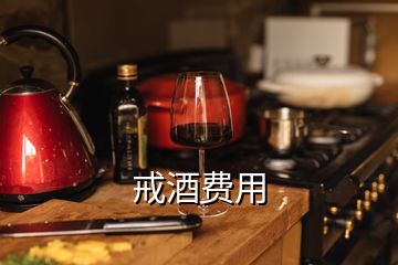 戒酒费用